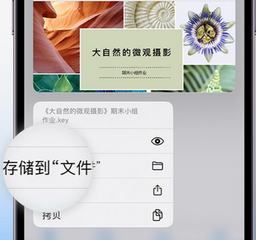 南京apple维修中心分享iPhone文件应用中存储和找到下载文件