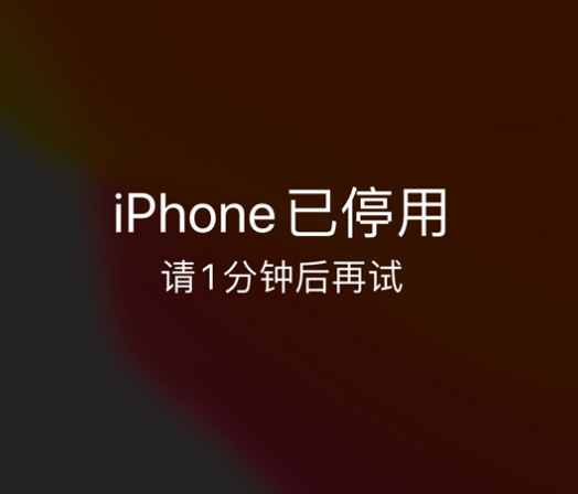 南京苹果手机维修分享:iPhone 显示“不可用”或“已停用”怎么办？还能保留数据吗？ 