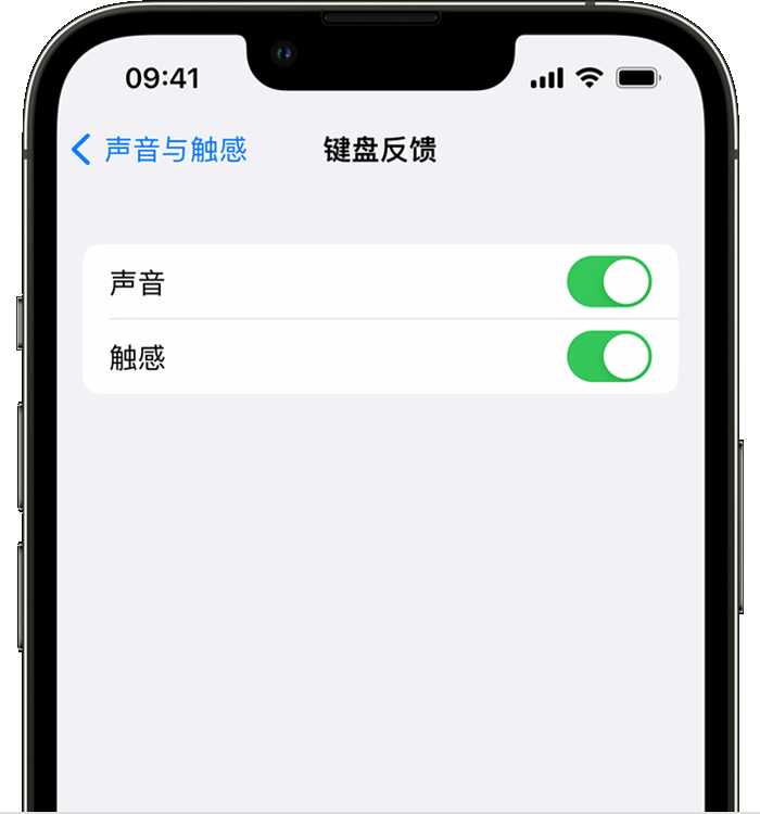 南京苹果14维修店分享如何在 iPhone 14 机型中使用触感键盘 