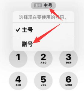 南京苹果14维修店分享iPhone 14 Pro Max使用副卡打电话的方法 