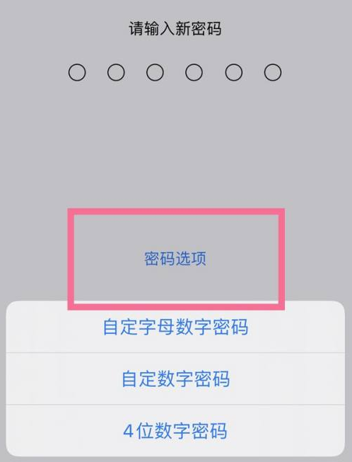 南京苹果14维修分享iPhone 14plus设置密码的方法 