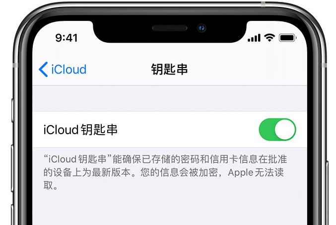 南京苹果手机维修分享在 iPhone 上开启 iCloud 钥匙串之后会储存哪些信息 