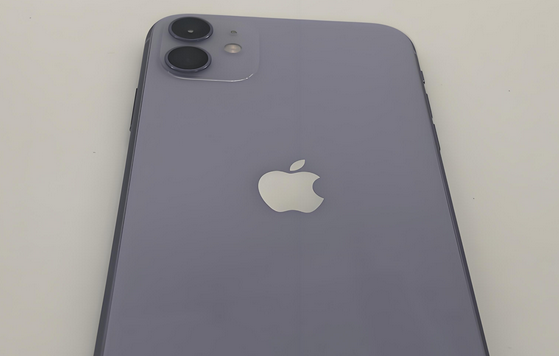 南京苹果11系统维修分享iPhone11手机系统崩溃无法开机如何解决